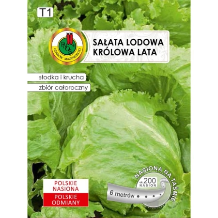Sałata Głowiasta Krucha Królowa Lata Taśma 6 m
